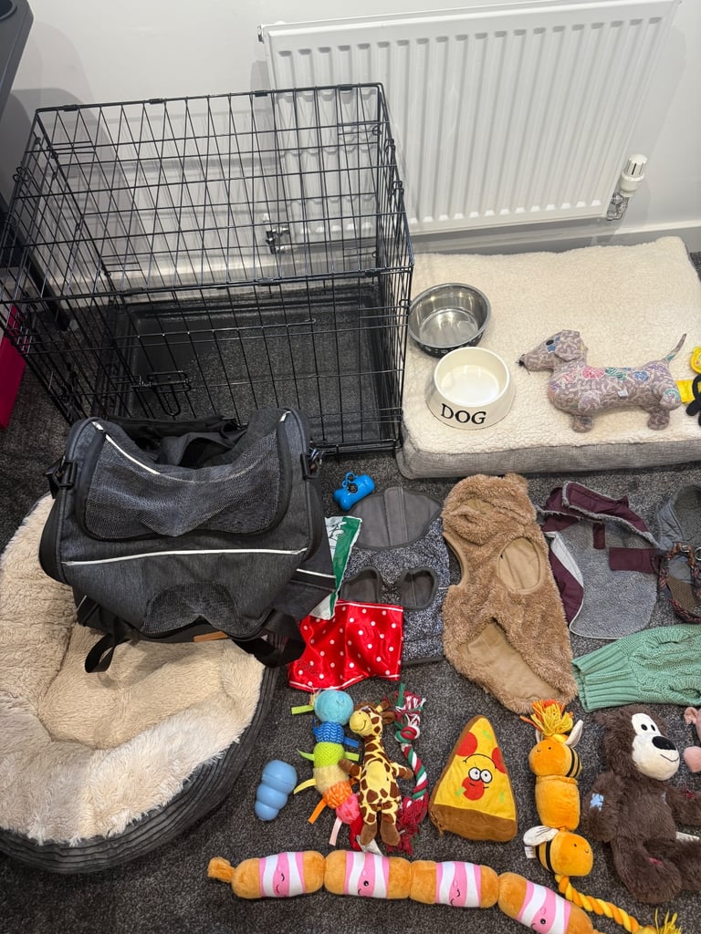 Small dog Accessories bundle