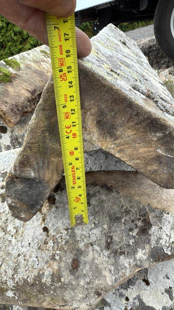  Reclaimed Sandstone ridge