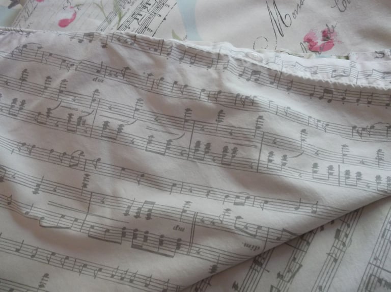 Dunelm Very Pretty Lined Curtains and 2 Matching Single Duvet Covers and Pillowcases