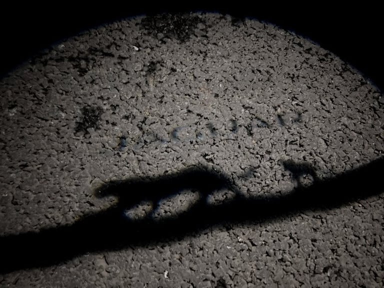  Jaguar E-Pace D180 Chequered Flag SUV Diesel Automatic