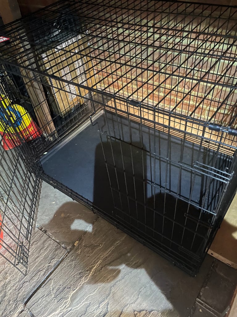 Kong XL dog crate