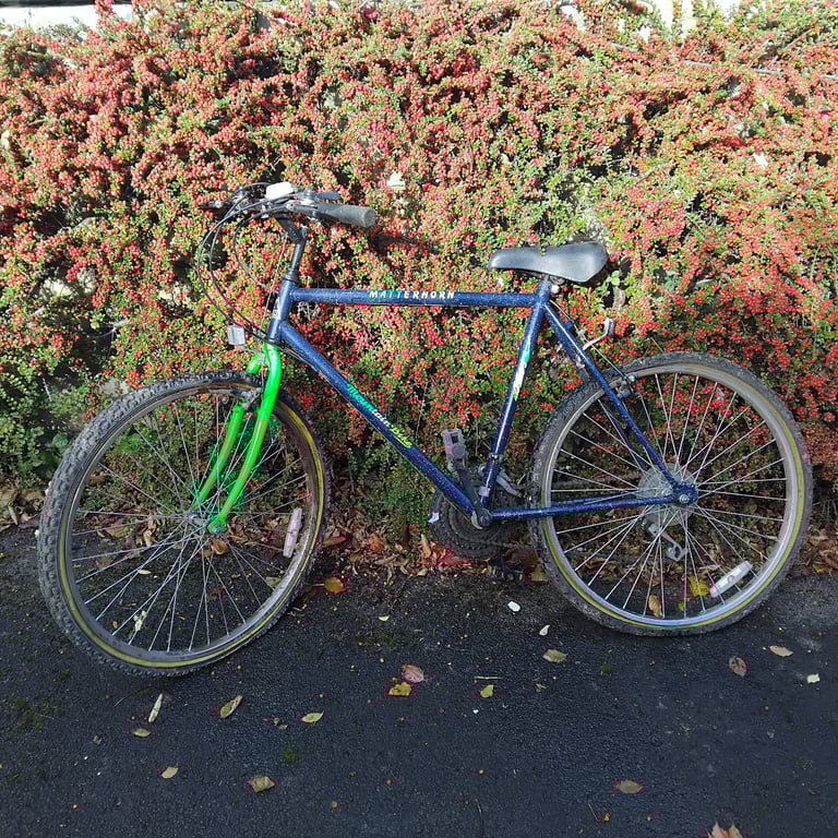 image for Matterhorn Adult Bike