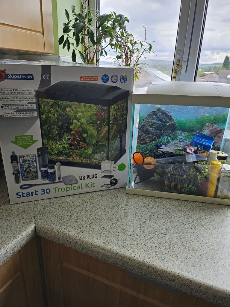 Fish tank and accessories 