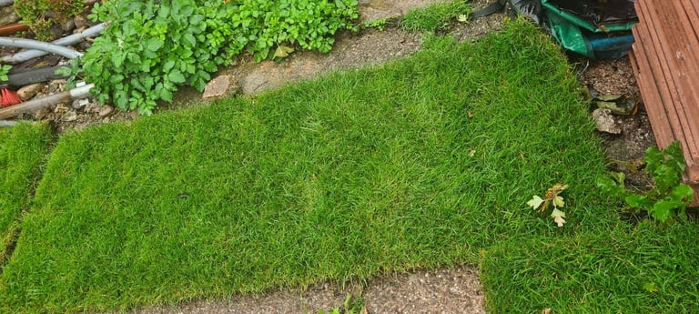 image for grass turf