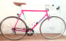 GIANT Vintage Steel Road Bike Circa 1989-90&#039; 59cm SERVICED LIGHTWEIGHT