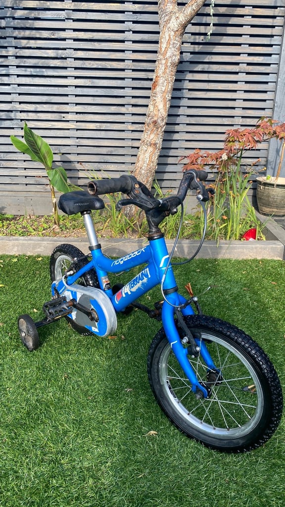 Ridgeback MX 14 Terrain kids bike