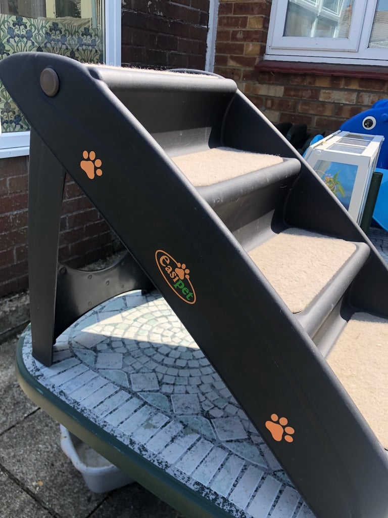 image for Dog steps 