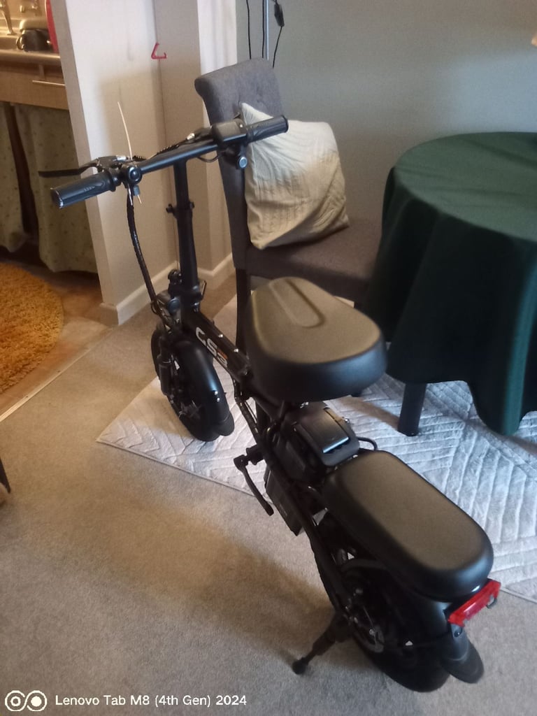 Electrically assisted bicycle