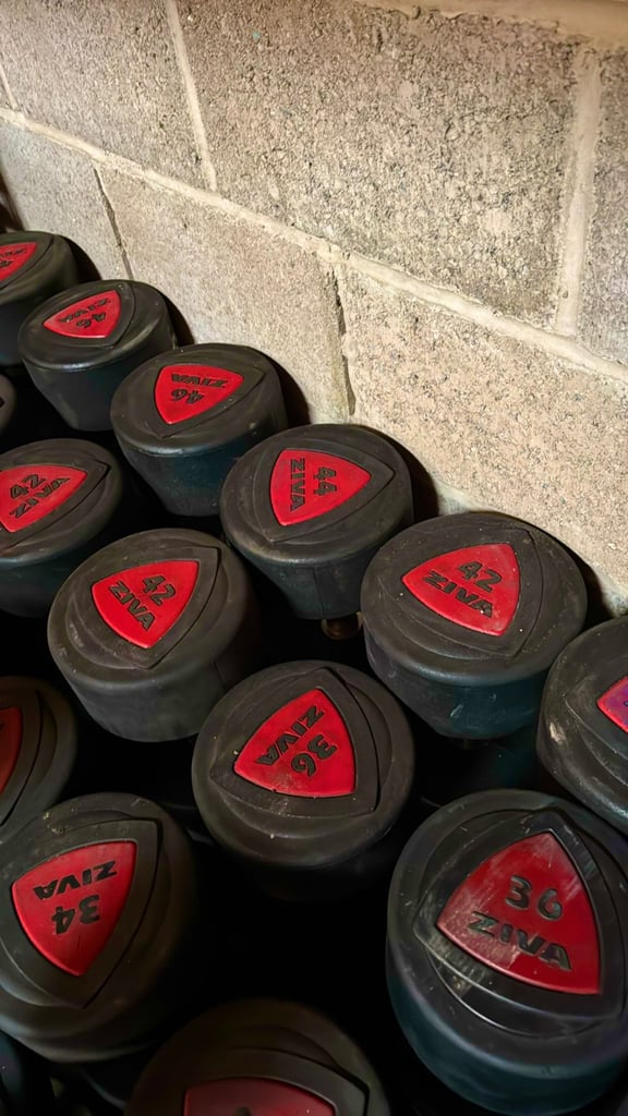 image for Available ziva polyurethane dumbbells and weights plates for sale on bulk 