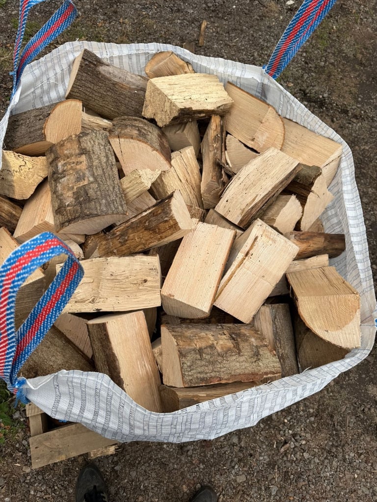 image for Ash logs for sale 