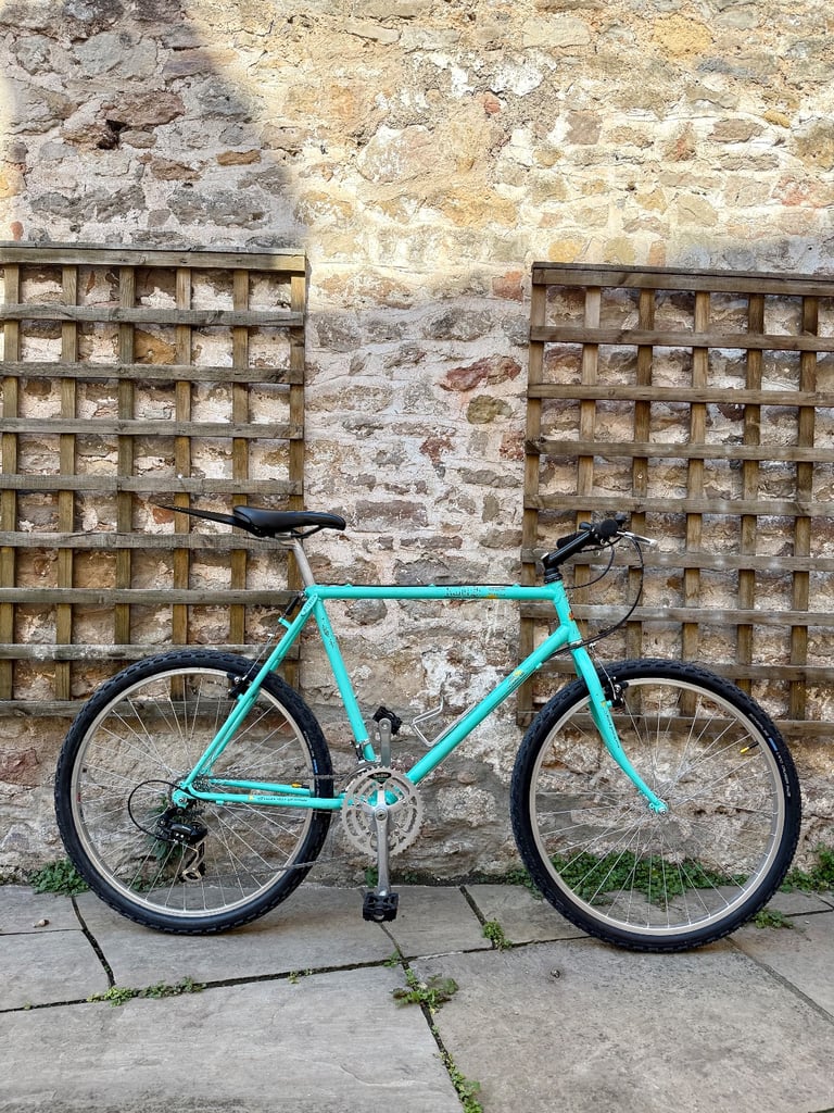 Raleigh Montage (early 90s). 55cm frame. Restored