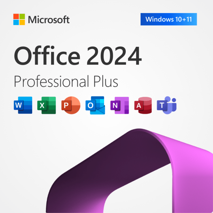 Office 2024 Professional Plus, Lifetime, Key