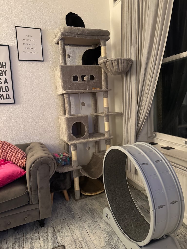210cm cat tree