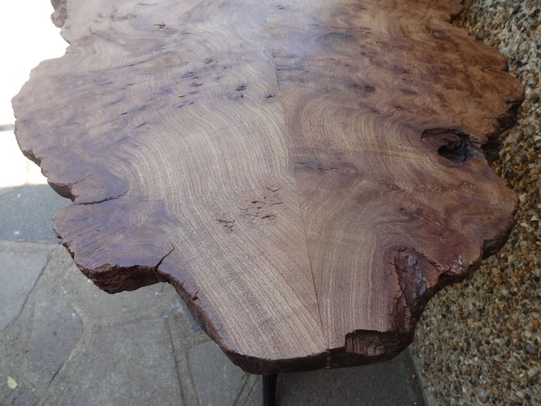 LIVE EDGE TABLE ~ SLAB OF BURR WALNUT ON A DOUBLE TRIPOD BASE ~ 