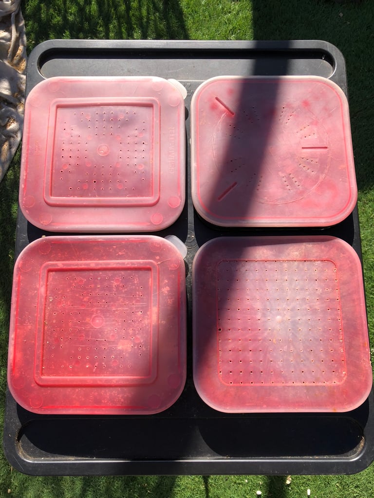 Bait box tray