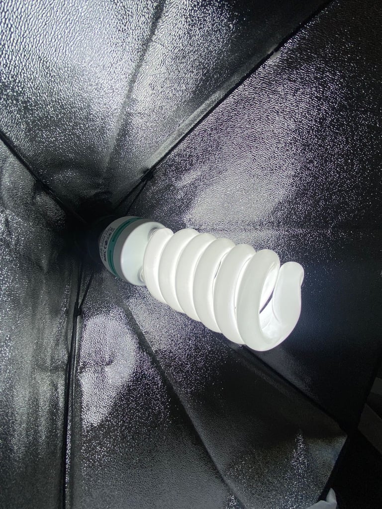 Studio Light Set
