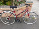 Ladies Medium Large Apollo Bike Bicycle 5 speed Retro 700c carrier 