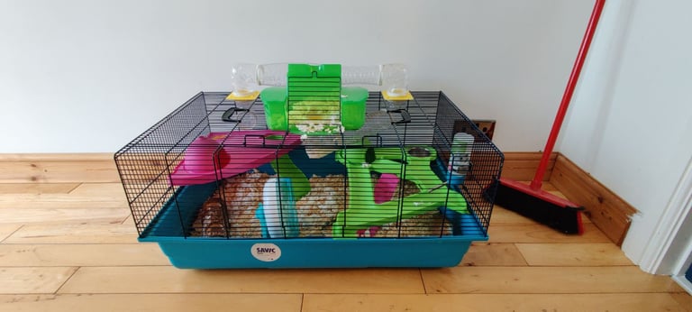 Hamster and Cage