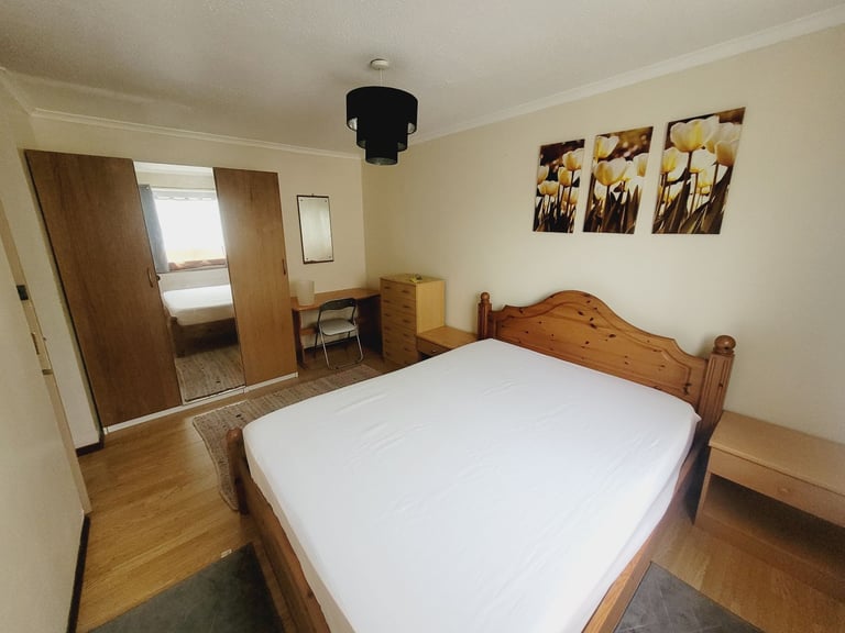 Lovely Large fully furnished room 