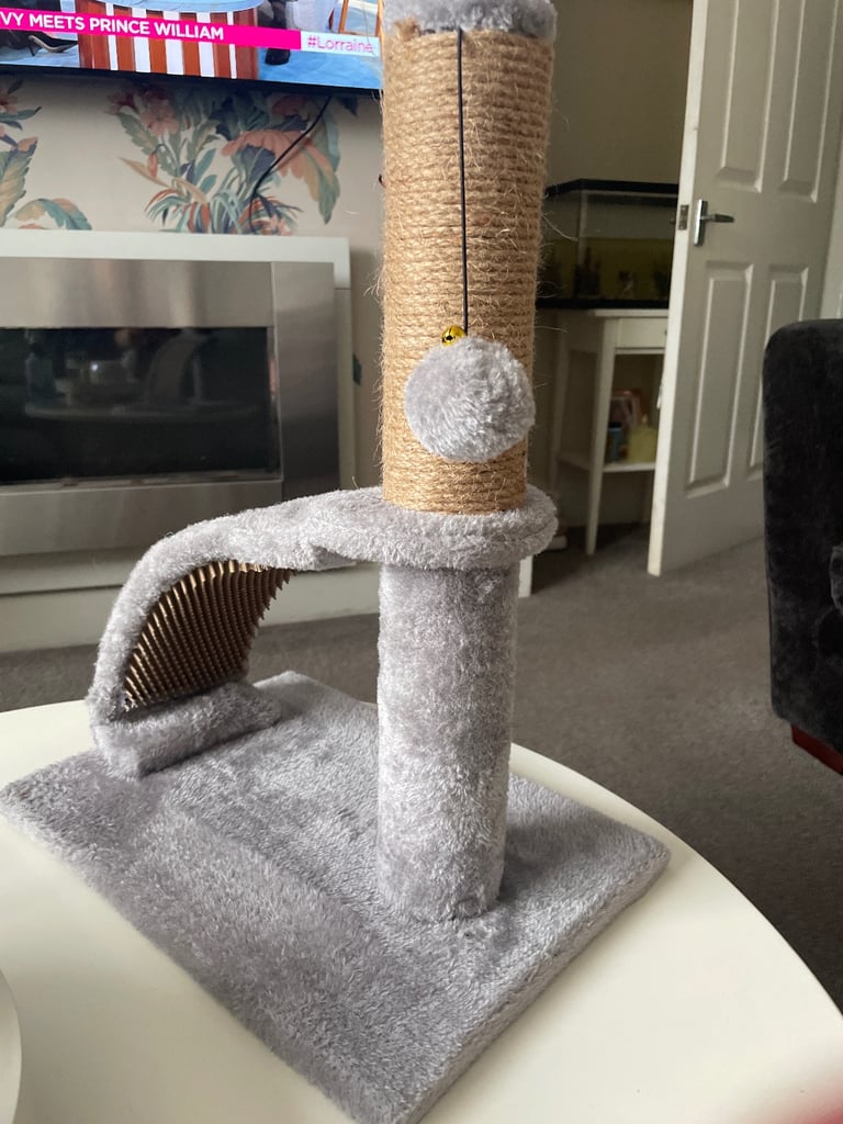 Cat scratch post