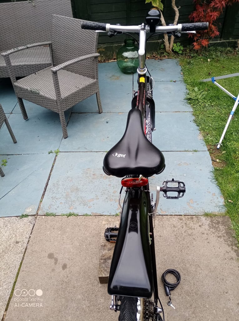 Mountain bike GT