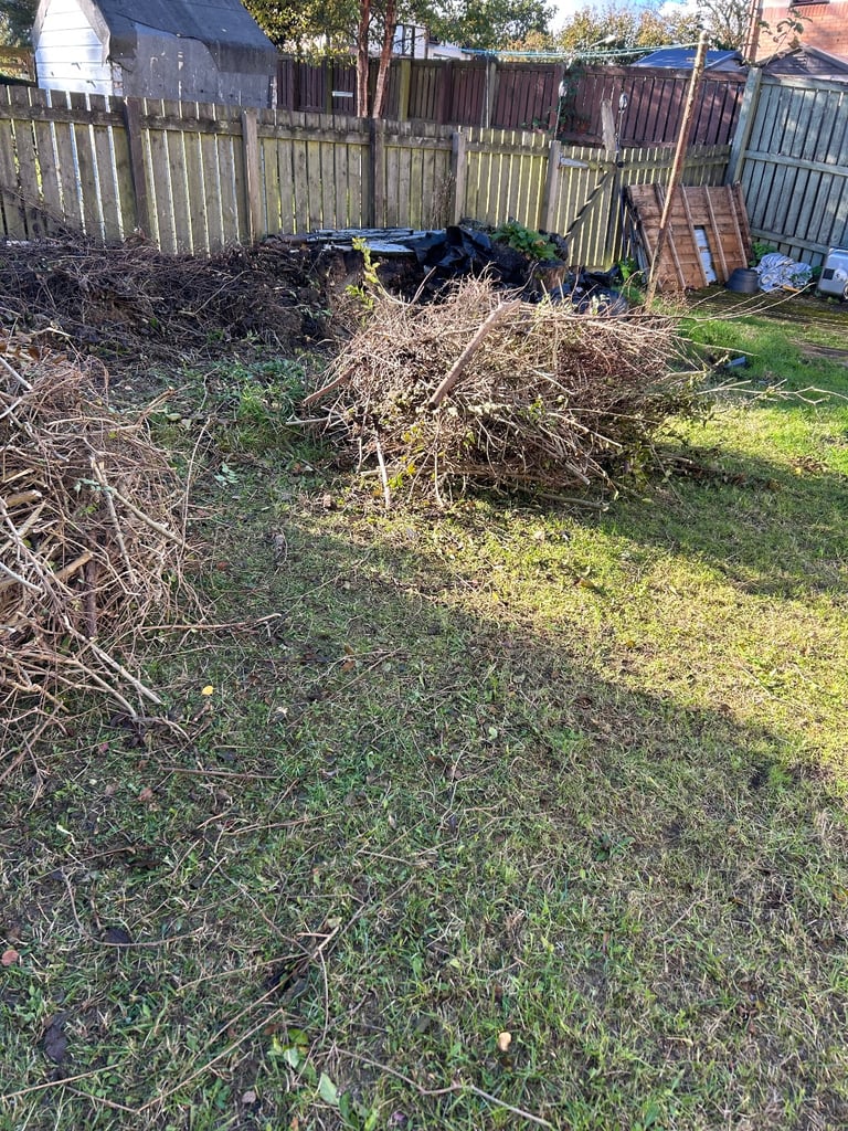 FREE BONFIRE KINDLING/WOOD