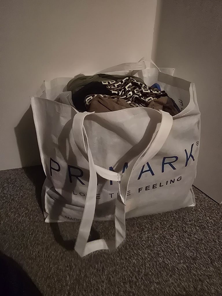 FREE large bag womens clothes size 12