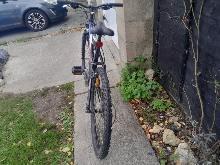 Man or Teenager Tampic Scott Bike 
