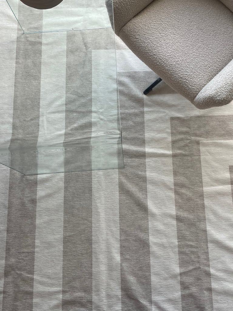 Brand New Ruggable rug