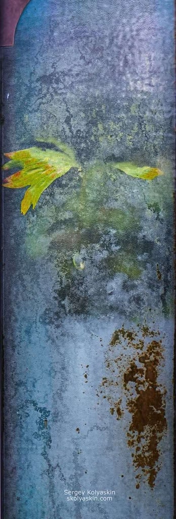 Photo collection "Under the Glass"