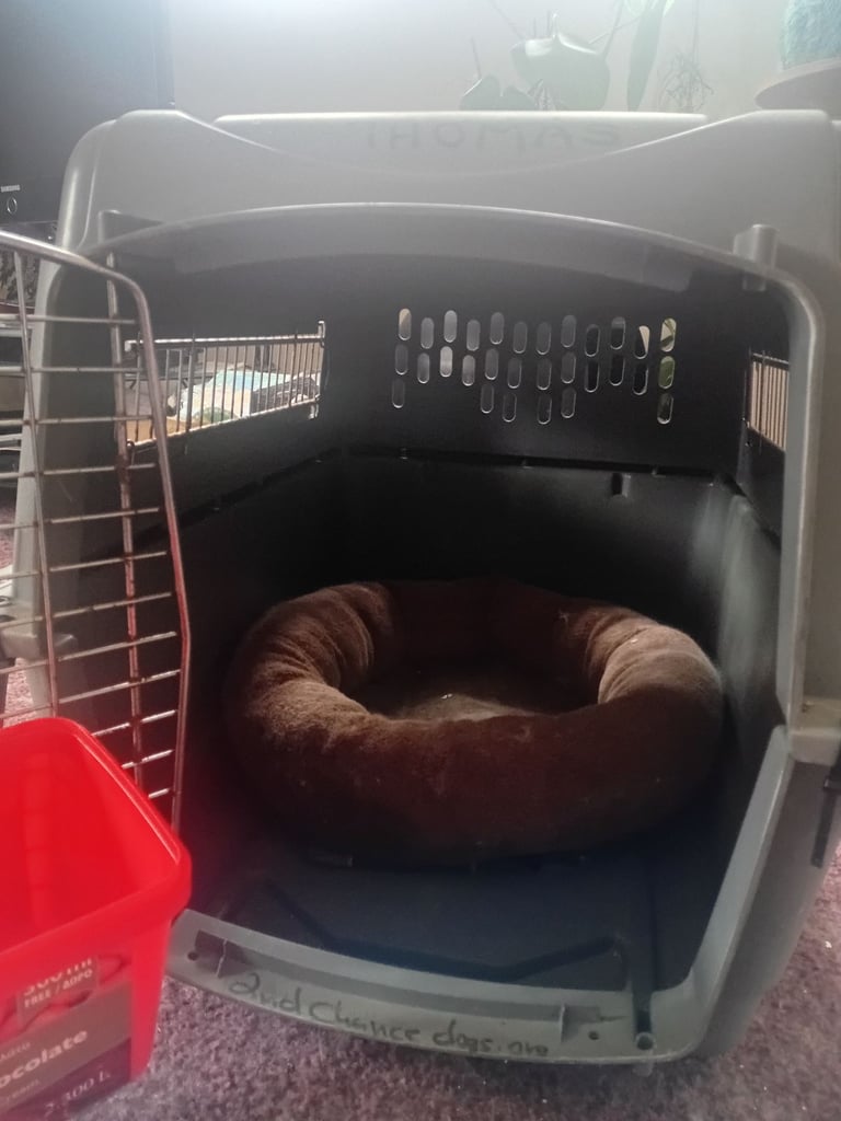 image for Dog C.