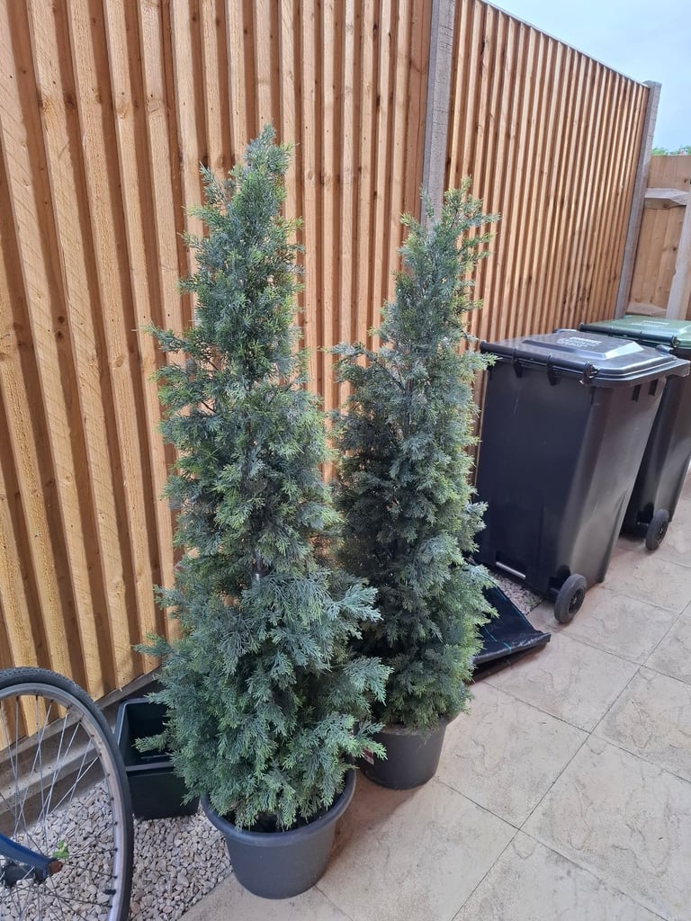 2 x artificial cypress trees 