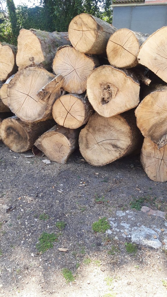 Logs for wood burner 