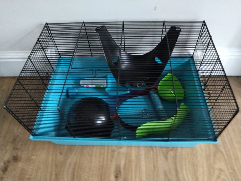 Guinea pig or gerbil cage