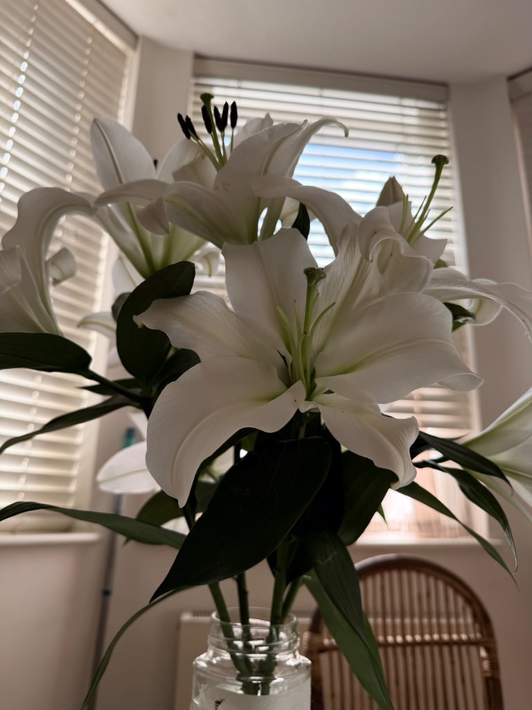image for New open Chinese massage in Harrow Area 