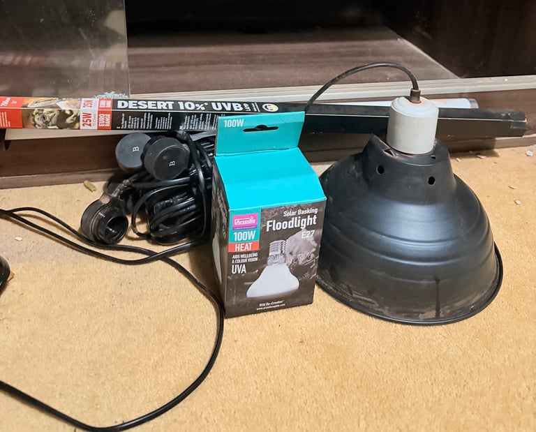 Vivarium reptile home 