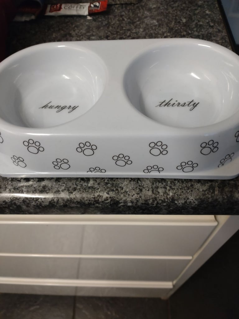 Brand new porcelain cats dish pick up only 