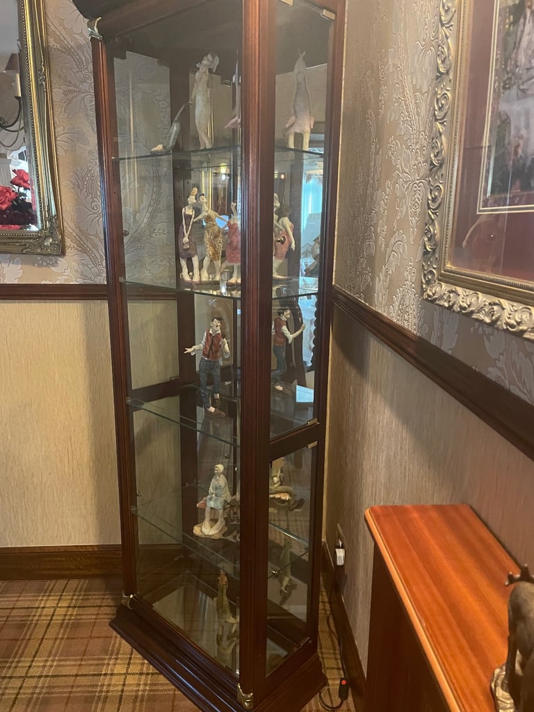 Tall Mahogany Glass unit 