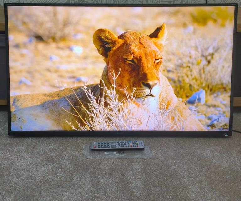 Sharp 43 inch Smart TV 4K Ultra HDR Ace Pro 400 Active Motion Catch-up TV 3x HDMI 43BJ2K