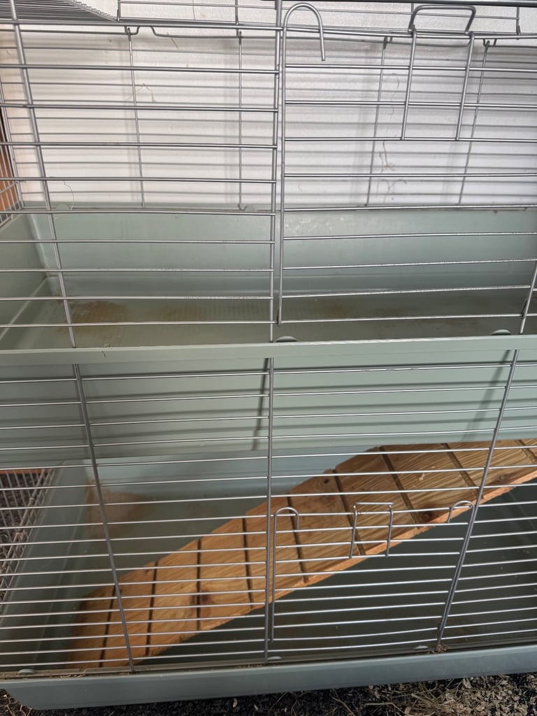 Rabbits cage with ramp 