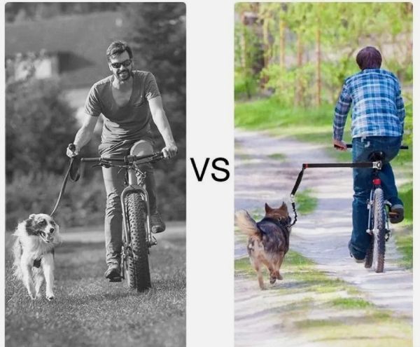 image for Bike attachment lead for dogs.