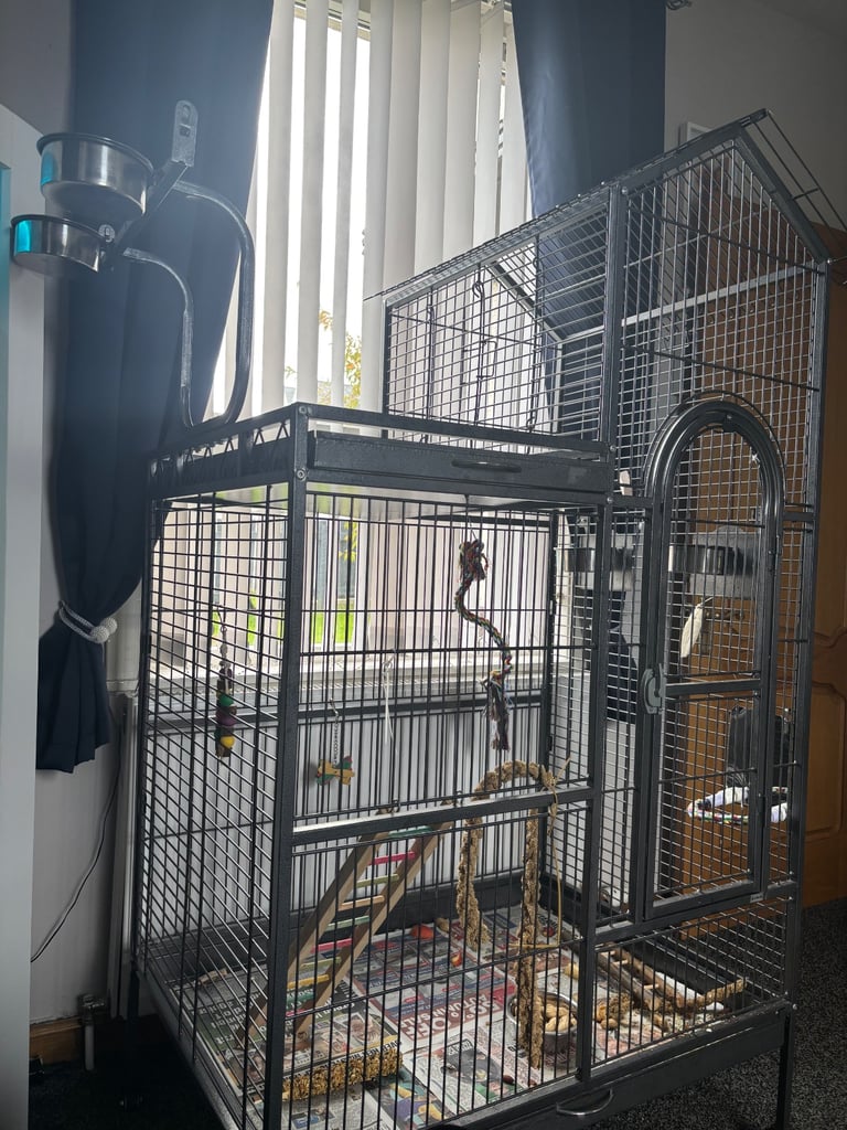 Parrot cage 