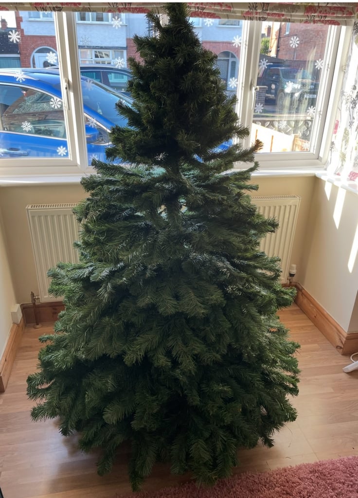 image for 6ft tree