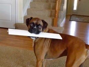 image for Stop Living with Broken Shutters. Start Enjoying a Perfect View Again!