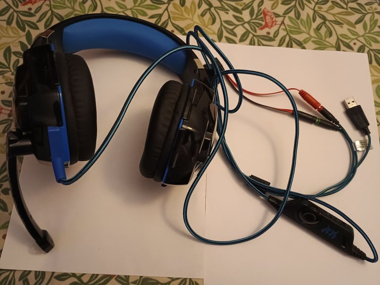 Large Headphones with Microphone 
