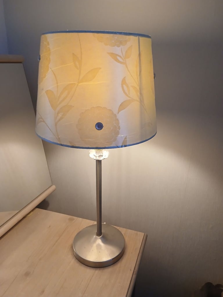 Lamp and Duck Egg Shade