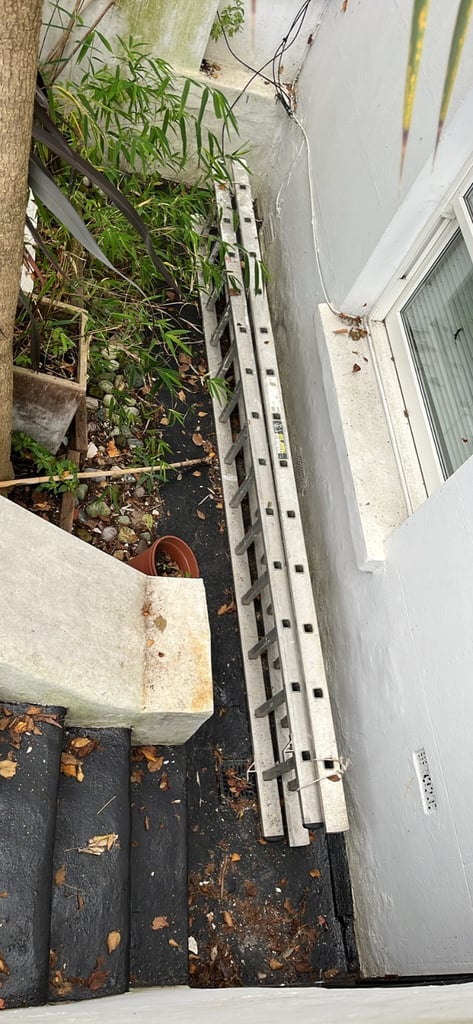 Youngman trade 350 ladder