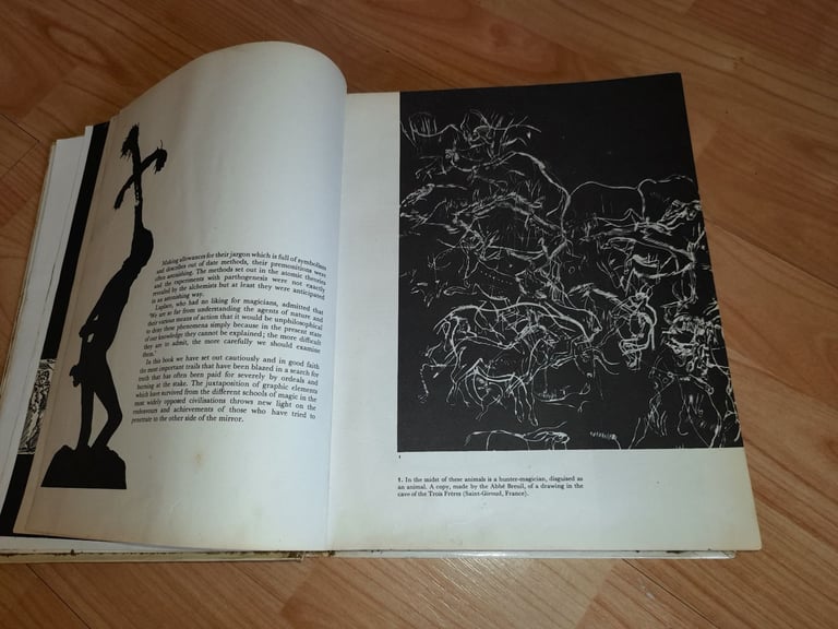 Magic & the supernatural maurice bessy