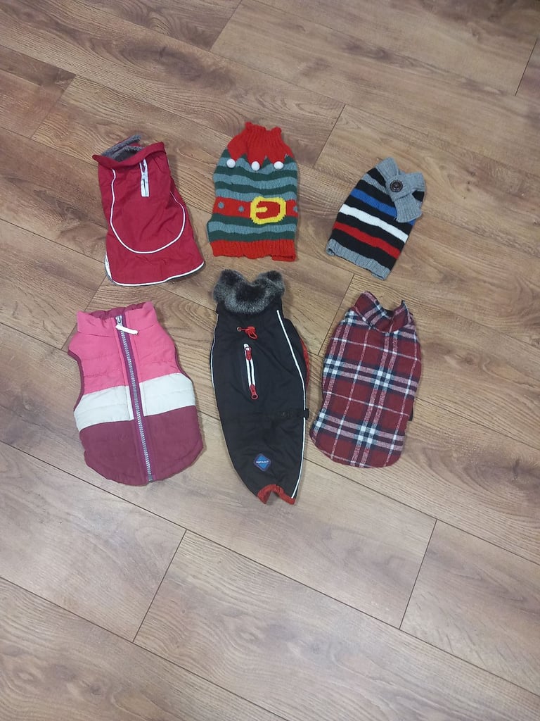 Dog coats & jumpers 