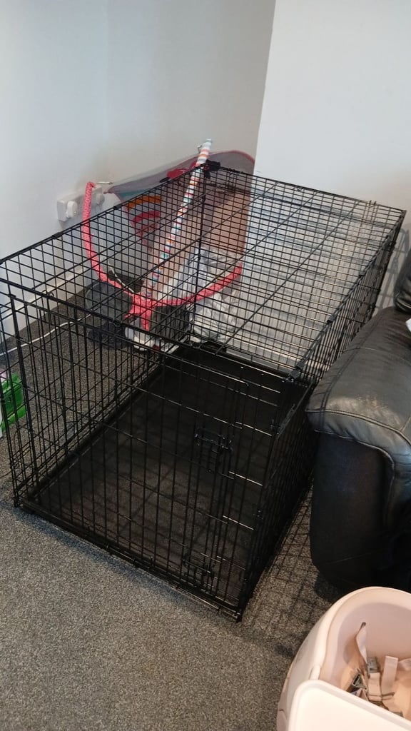 Large dog cage brand new 